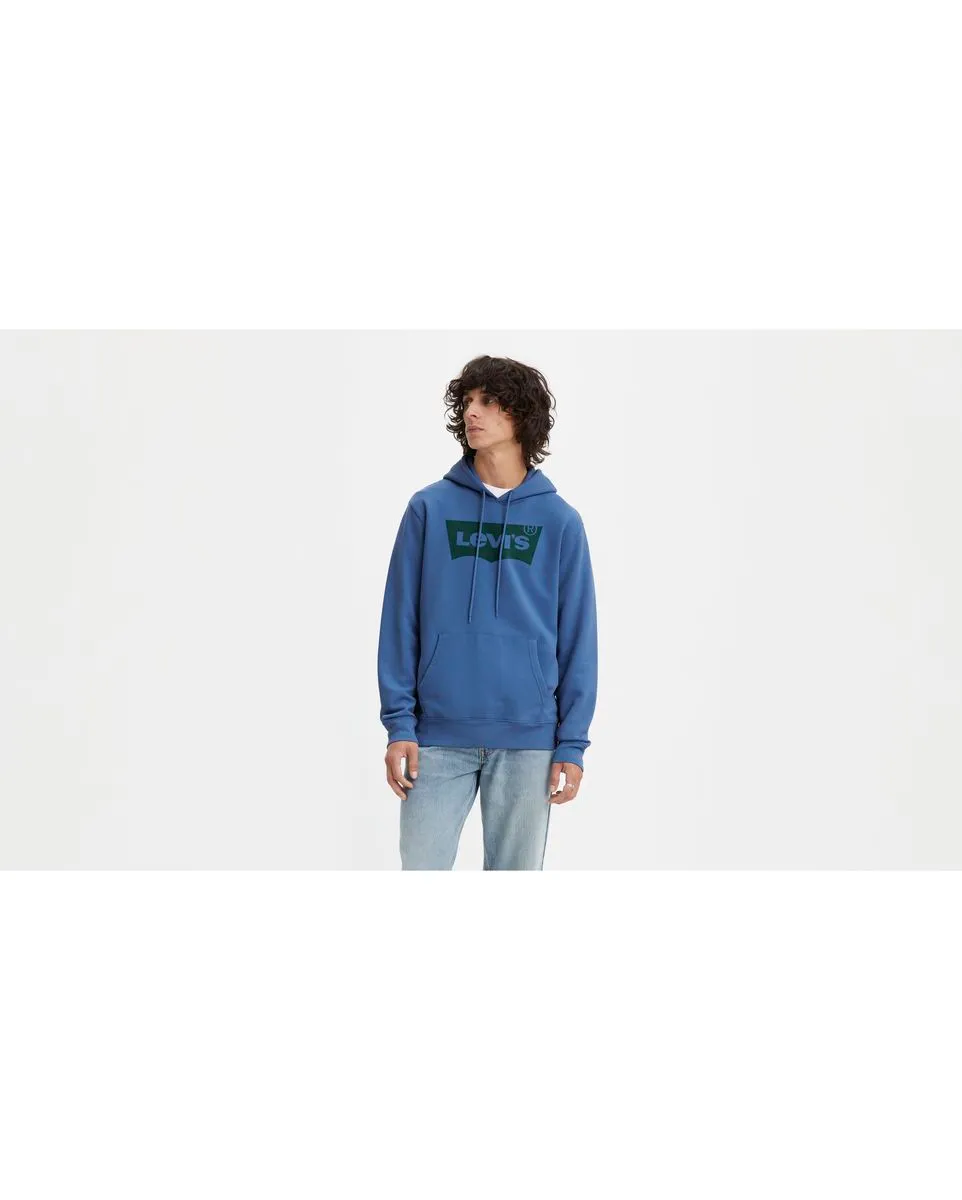 Sweat à capuche manches longues Homme STANDARD GRAPHIC HOODIE Bleu